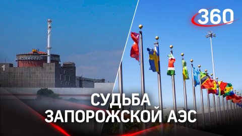 Ядерный вопрос: Россия запросила заседание Совбеза ООН из-за обстрелов ВСУ Запорожской АЭС