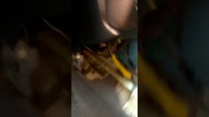 Печка опель астра ф видео второе.