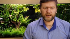 Как выбрать аквариум