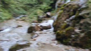 Горная форель Чечни. 2 часть. Природа Кавказа, Чечни. (Trout fishing in Chechnya. 28.20.23)