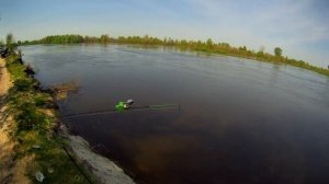 Ловля чехони на фидер | Десна в начале мая