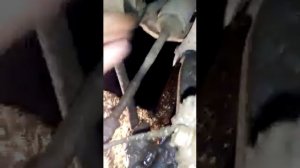 разбор приводов Субару Легаси