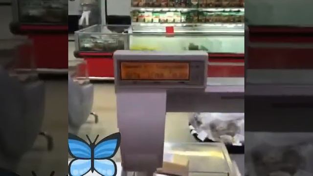 Обвес Магнит смотреть онлайн