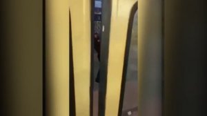 Быдло в маршрутке устроил золотой дождь