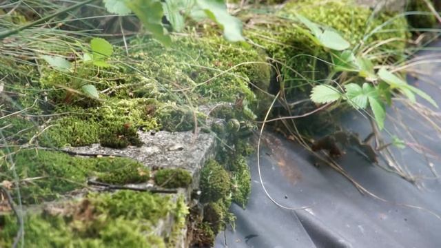 Libelle2 смотреть онлайн