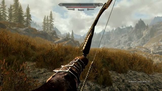 Империя/Братья Бури - ВЫБОР РАЗРАБОТЧИКОВ | Skyrim