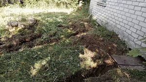 Хутор зарос, большой обкос 2023 06 04