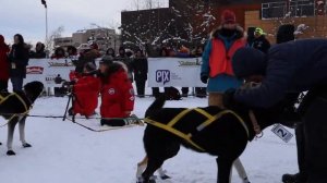 Yukon Quest 2019 | Brent Sass | LIVE from the Finish Line | Alaska Haven