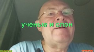 Ученые и слон. Анекдот.