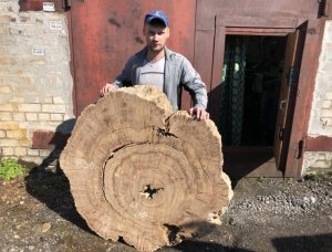 Столешница из гигантского спила