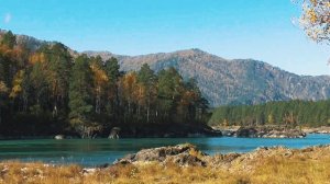 Возрождение здорового шейного отдела позвоночника (исцеление от спондилеза) Сытин Г.Н.