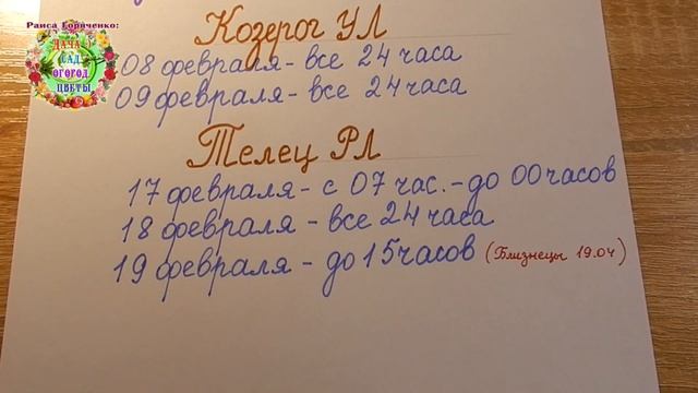 Когда квасить капусту в феврале 2021? Лучшие дни февраля для приготовления вкусной квашеной капусты смотреть онлайн