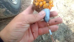 рыбацкая снасть казачка