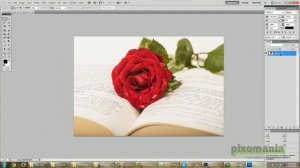 How To - Color Correct Images on Lightroom for selling online - Stock Images