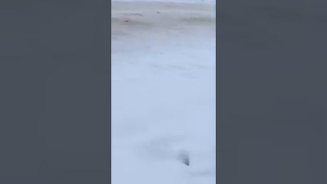 Эко Смоленск http://откачкажбо.рф он же http://otkachka-service.ru Смоленск Слив чёрной жижи 25 смотреть онлайн