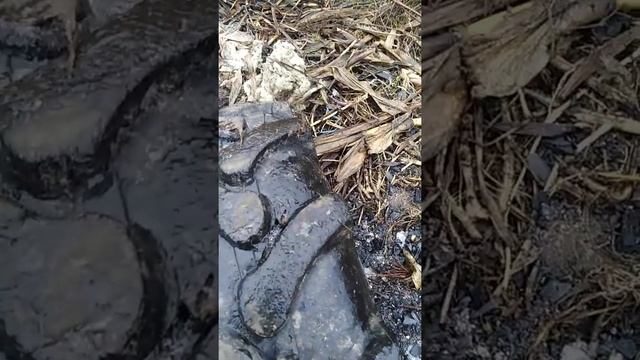 Резина 7.50х12 (Китай) после года эксплуатации на мотоблоке МТЗ смотреть онлайн