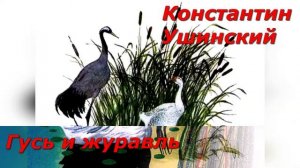 Гусь и журавль. К. Ушинский.