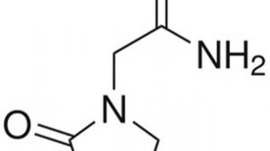 Piracetam | Wikipedia audio article