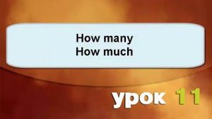 Урок 11.4 Вопросительные слова с примерами
