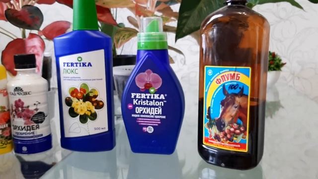 АНТУРИУМ. АГЛАОНЕМА. Высокоэффективные удобрения для антуриумов и аглаонем смотреть онлайн