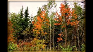 Просторы России !