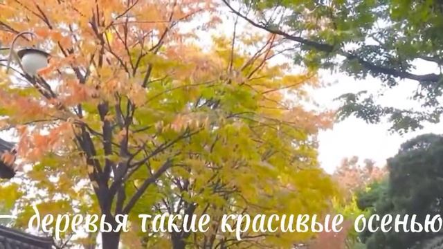 || Lee Felix как твой парень || ВЫХОДНЫЕ С ФЕЛИКСОМ [ comfort asmr ] смотреть онлайн