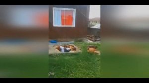 Приколы #32 _ Дружный коллектив _ Лучшие приколы