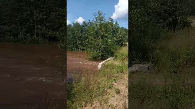 Демянский район Новгородская область река Воловья потоп смотреть онлайн