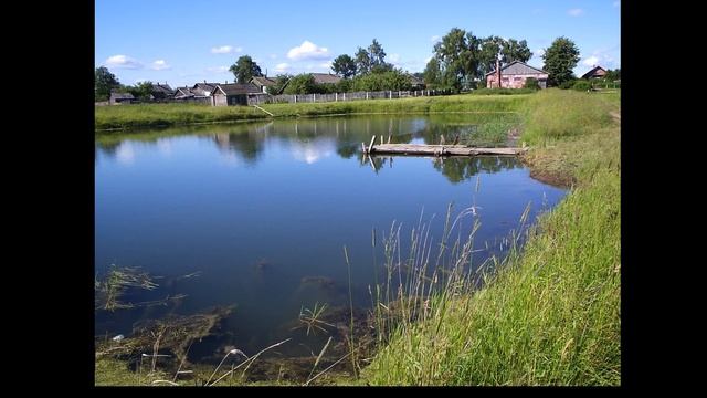 Поэтический цикл. В.Комарова смотреть онлайн
