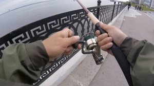 Ловля на донку на реке Волга
