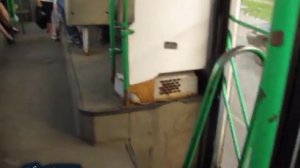 Автобусы в Санкт-Петербурге // Buses in St.Petersburg