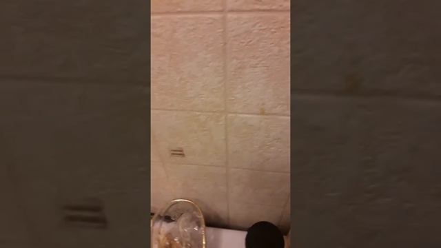 Greenway. Бумажные обои отмыла салфетка для посуды. смотреть онлайн