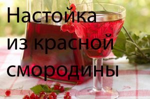 Настойка из красной смородины