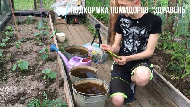 Как изготовить подкормку для помидоров марки 