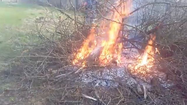 Пожар из костра. Пожар! смотреть онлайн