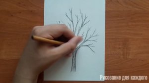 Как легко нарисовать деревья