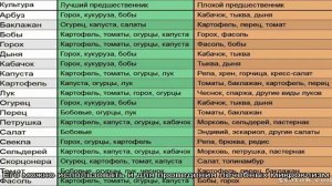 Лечение геморроя картофелем в домашних условиях