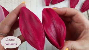 Обзор новинок вайнеров Цветоделика Арт