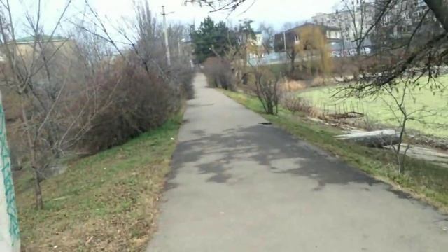 VLOG: Первая брачная ночь / Ловлю кота / Обжорство смотреть онлайн