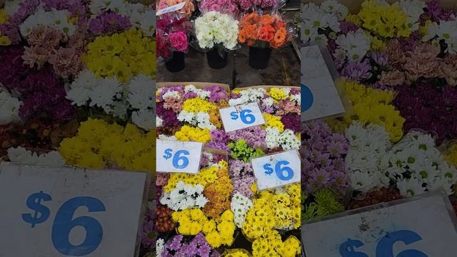 Flower Market Sydney