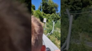 Родельбан - аттракцион в горной олимпийской деревне, Роза Хутор, Красная поляна, Сочи