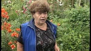 Дизайн дачного участка своими руками.  Клематисы