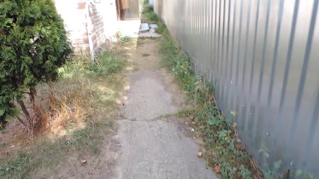 Как снимает Nikon COOLPIX P520 смотреть онлайн