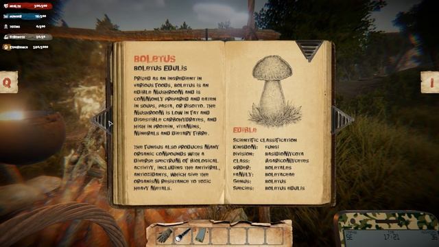 MUSHROOMS FOREST WALKER : MUSHROOM PICKER SIMULATOR! : Mushrooms Forest Walker Gameplay DEMO