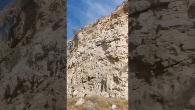 Зачем заманивать кого то? Стихи. Эстэр. смотреть онлайн