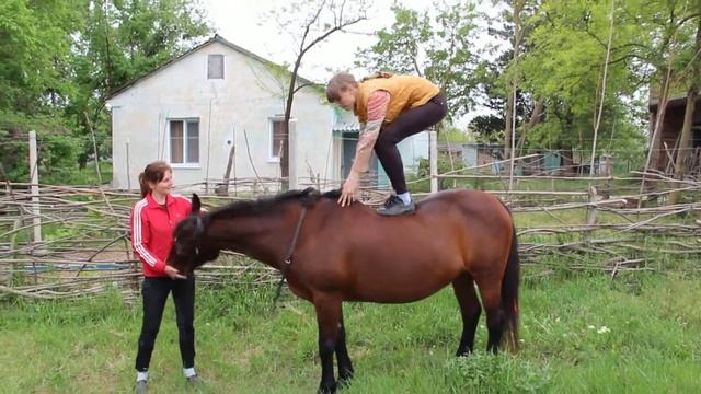 я запрыгнула спрыгнула упала смотреть онлайн