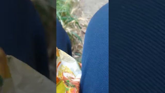 Ролтон со вкусом острой курицы,ЖАРААА!!!!!