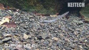 KEITECH CUSTOM LEECH. Варианты проводок