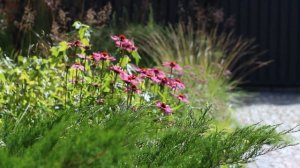 BLOOMING FOREST | landscape design by Katya Redko