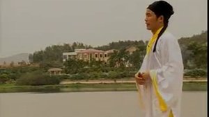 Удан Чжань шоу фань - Опрокидывания с близких позиций